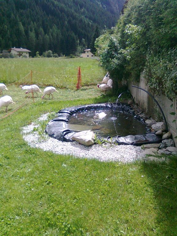 Luenerhof Casa de hóspedes Neustift im Stubaital Exterior foto